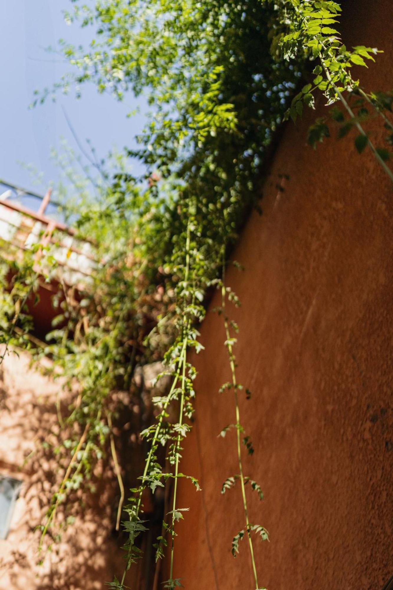 Riad Senja Μαρακές Εξωτερικό φωτογραφία